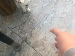 -大锅强·蒸海鲜青岛菜(吾悦广场店)