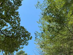 -南丰汇(新港东路店)