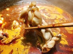 -老天桥蛙炉火锅(姑苏总店)