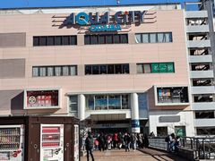 -台场海滨公园船码头