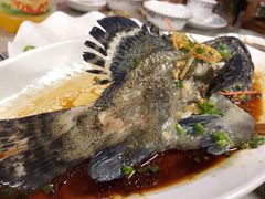 石斑鱼-亚龙湾8号(丁村万人海鲜广场店)