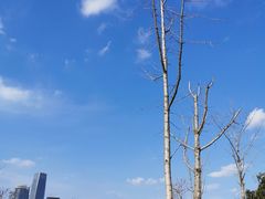 -上海山野camping·户外天幕烧烤·团建拓展营地