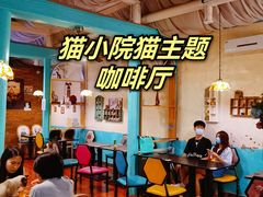 大堂-猫小院猫主题咖啡厅(北锣店)