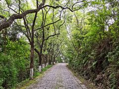 -宁波市保国寺古建筑博物馆