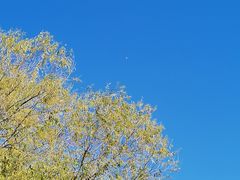 -长春公园(普阳街道)