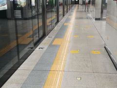 -竹子林(地铁站)