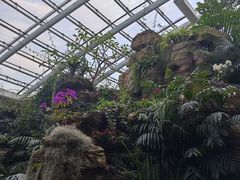 -济南植物园