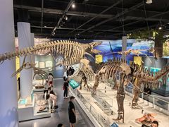 -国家自然博物馆