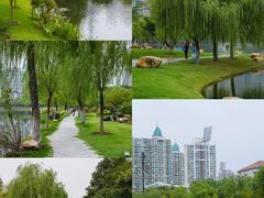 -西北湖绿化广场