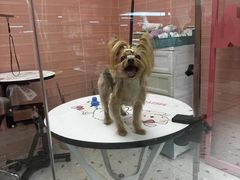 -FAELING PETS美天灵宠物(合生汇店)