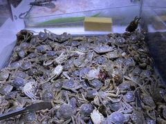 -聚盛源蒸汽海鲜火锅烤肉自助(巨川金海岸购物广场店)