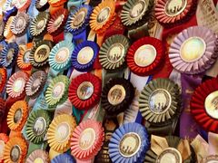 -more than meow吴止猫主题餐厅(承德 中船汇店)