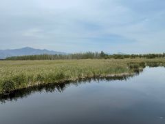 -野鸭湖国家湿地公园
