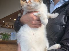 -云端咖啡(山顶教堂店)