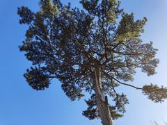 -秦岭终南山世界地质公园翠华山景区