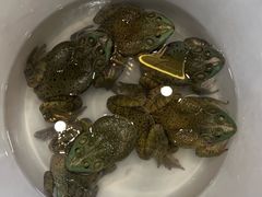 -飞尝蚝·顺德菜·鱼生(顺德总店)