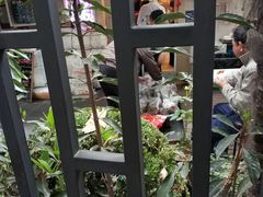 -璐坊粽王(复兴中路店)