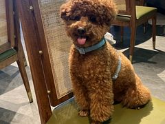 -小稻田辣椒炒肉(大浪商业中心店)