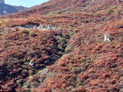 -周口店坡峰岭风景区