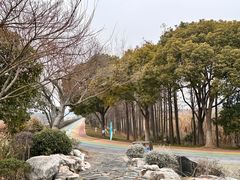 -贡湖湾湿地公园