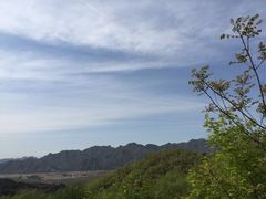 -小慧大桃观光采摘园