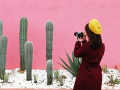 -漳州滨海火山岛自然生态风景区
