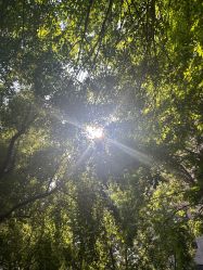 -悟空祛痘·诺奖技术专业店