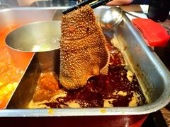 -新辣道鱼火锅(世纪金源购物中心店)