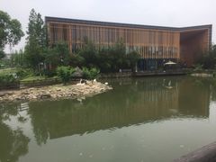 -田园东方蜜桃村的田野营地
