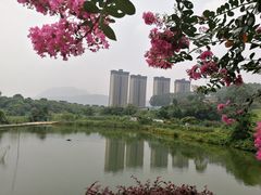 -大王岭农庄
