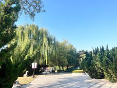 -元大都城垣遗址公园