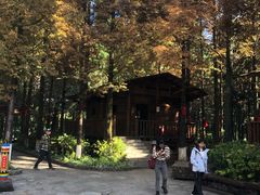 -云南民族村