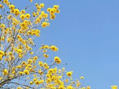 -松山湖南湖湾露营营地