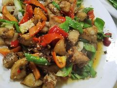 -煲来饱去冷水鱼