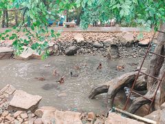 -西霞口神雕山野生动物世界