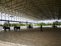 -上海崇明金茂凯悦酒店