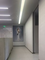点击看大图 -桔子摄影