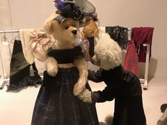 -济州岛泰迪熊博物馆