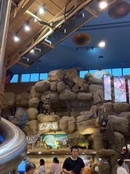 -卡通尼·Safari非洲探索乐园·生日会(金桥国际商业广场店)