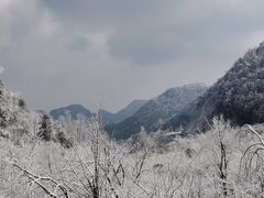 -四明山国家森林公园