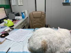 -半岛宠物医院24小时(科华中路店)