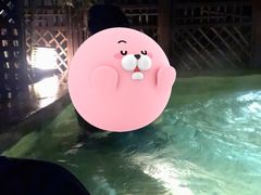 -春晖园度假酒店温泉