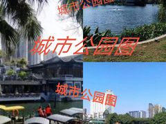 -荔湾湖公园
