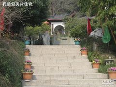 IMG_0179-十八棵（老龙井）御茶园(老龙井店)