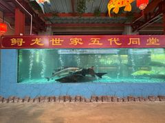 -年辉渔村·非遗传承餐厅(新丰江店)