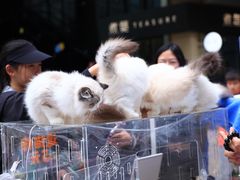 -中粮·祥云小镇