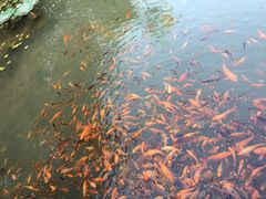 -灵栖洞天