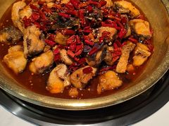 -涿派·炝锅鱼(涿州店)
