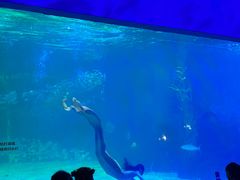 -常州海昌海洋探索馆