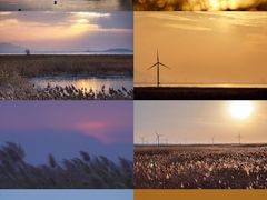 -野鸭湖国家湿地公园